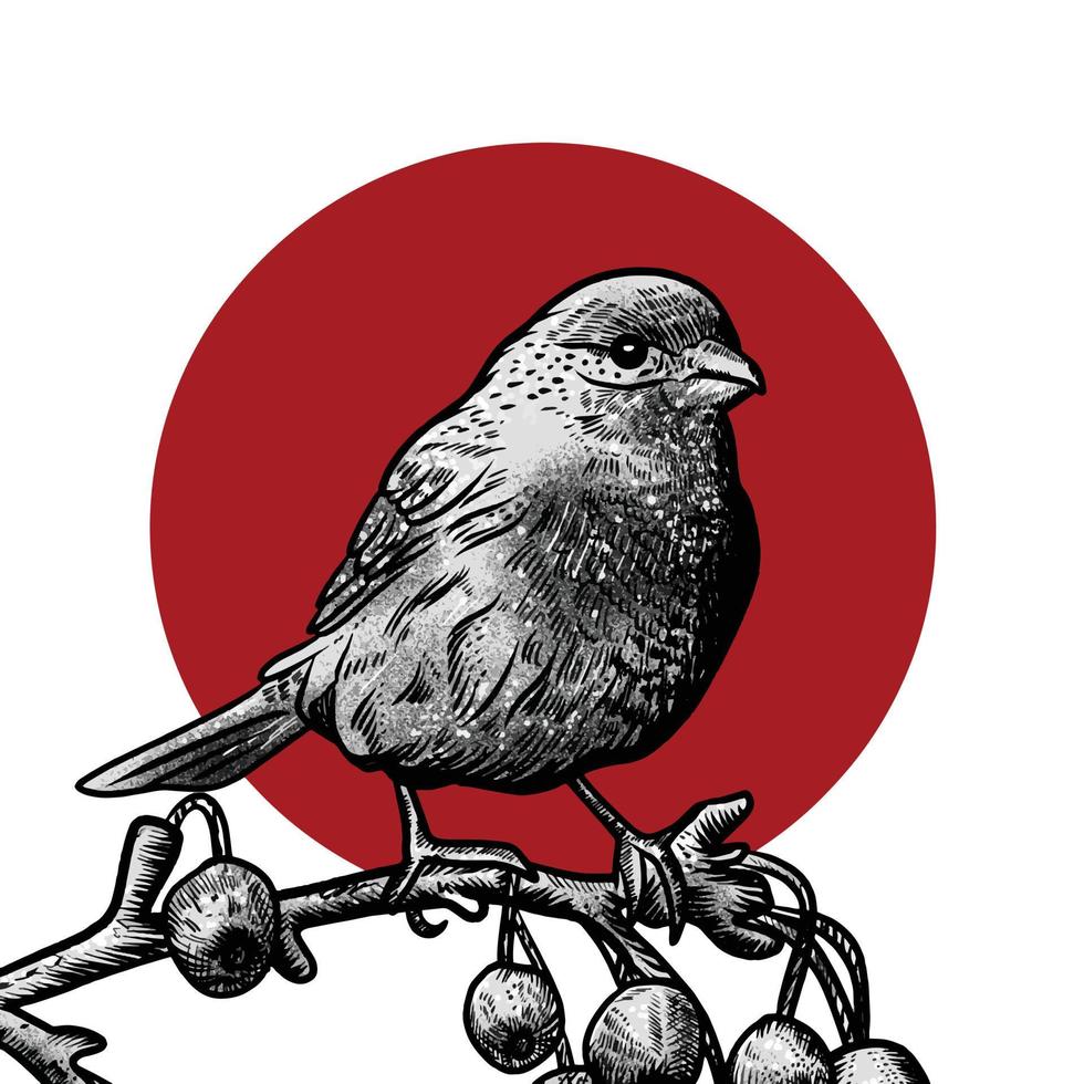 illustration vectorielle d'oiseau roselin domestique vecteur
