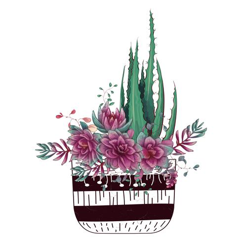 Carte avec ensemble de cactus et de plantes succulentes. Plantes du désert. vecteur