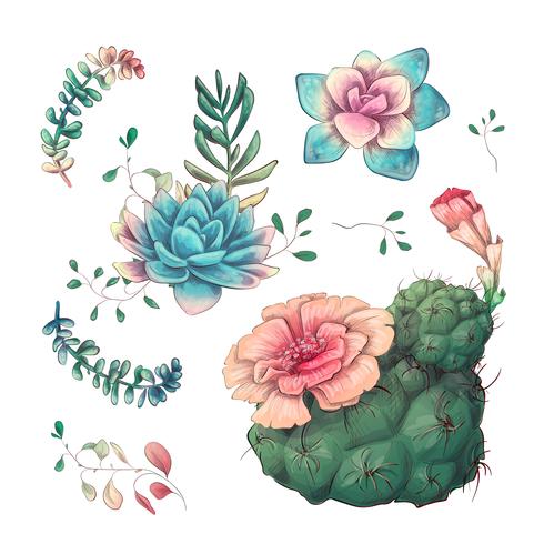 Succulentes. Cactus dessinés à la main sur un fond blanc. Fleurs dans le désert. Succulentes de dessin vectoriel