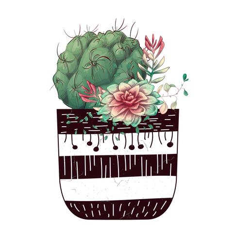 Carte avec ensemble de cactus et de plantes succulentes. Plantes du désert. vecteur