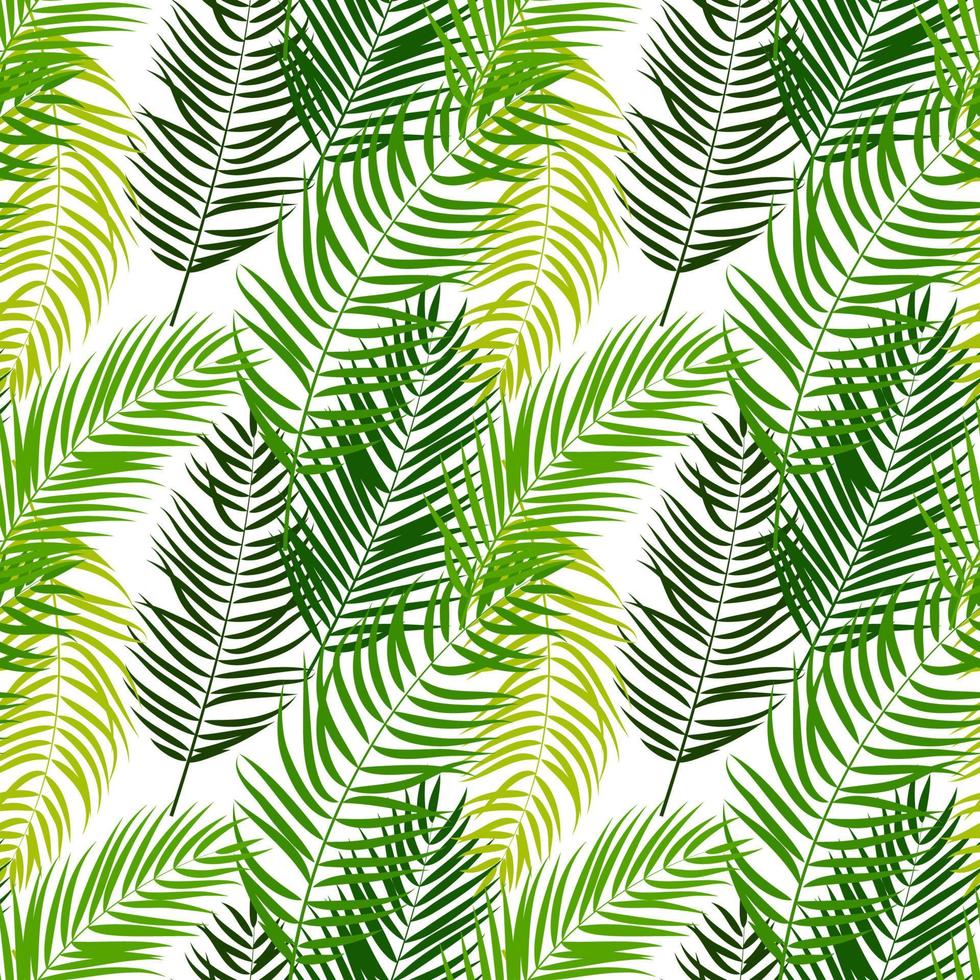 Beautifil palmier feuille silhouette transparente motif de fond illustration vectorielle vecteur