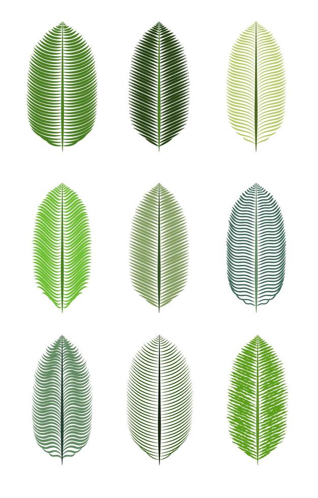 illustration vectorielle de feuille de palmier isolé vecteur