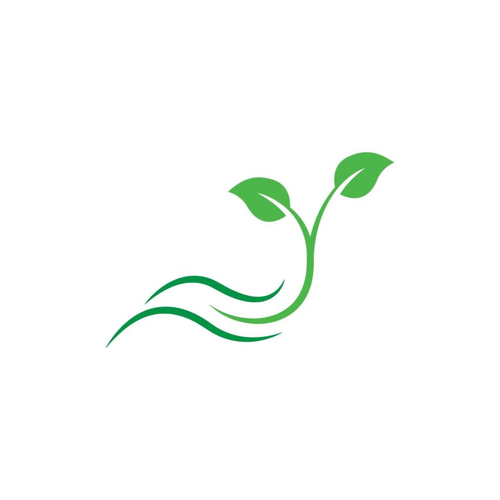 modèle de conception de logo de feuille d'arbre vecteur
