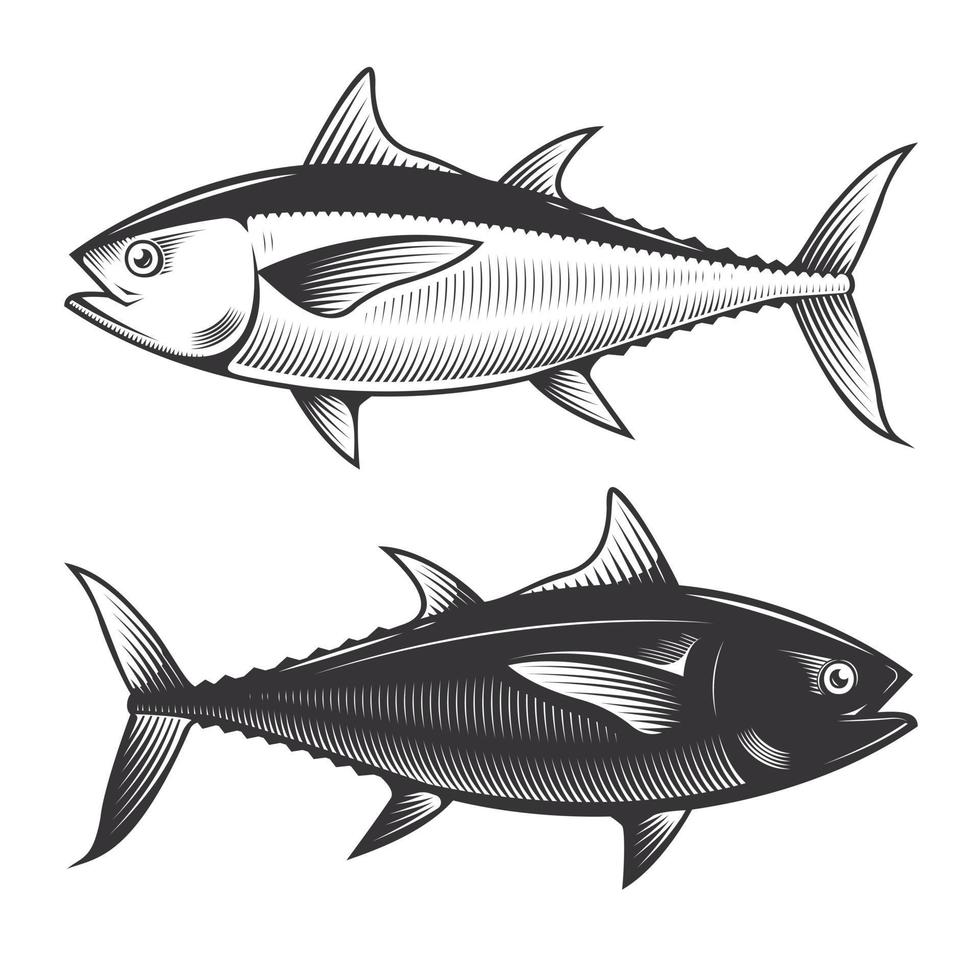 thon poisson à nageoires jaunes dessin vintage doodle ligne art illustration vecteur. vecteur