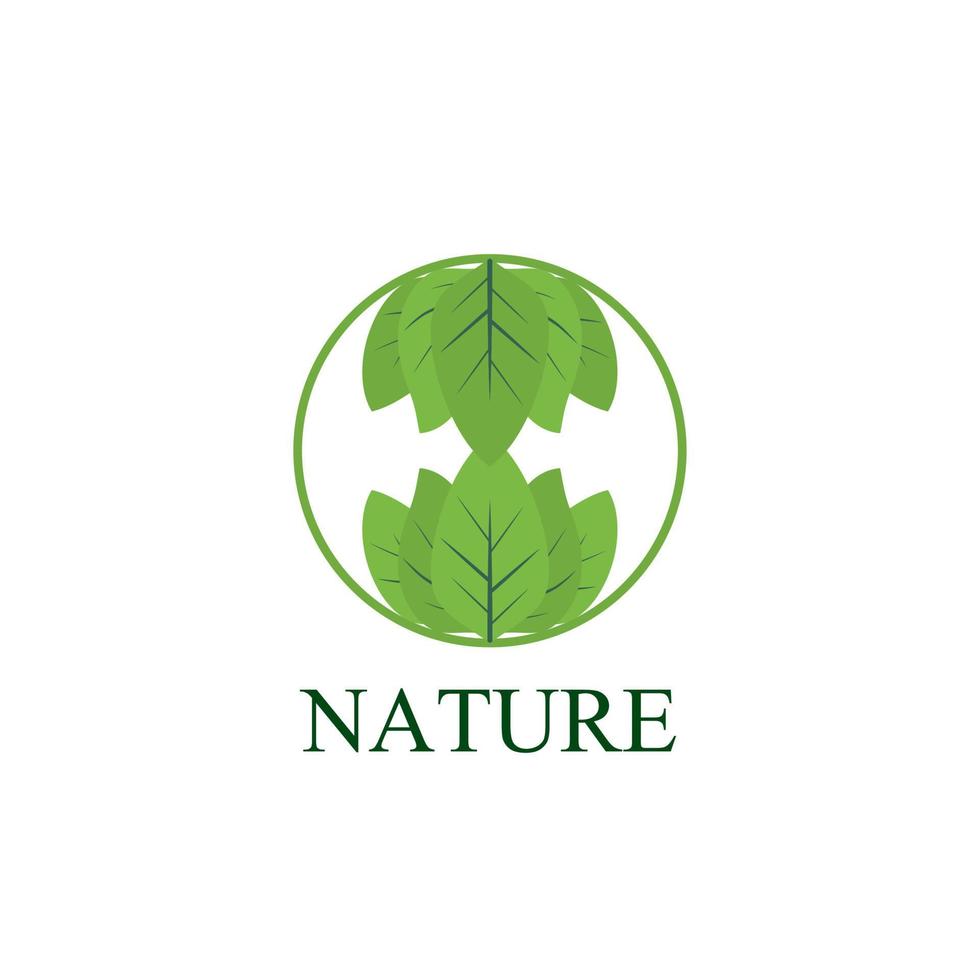 logo et symbole de la nature des feuilles pour l'industrie de l'environnement des signes vecteur