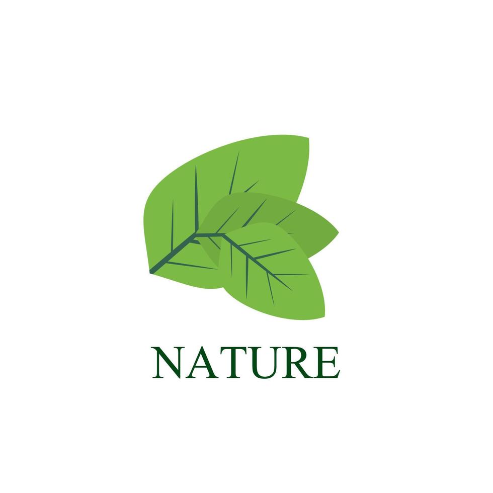 logo et symbole de la nature des feuilles pour l'industrie de l'environnement des signes vecteur