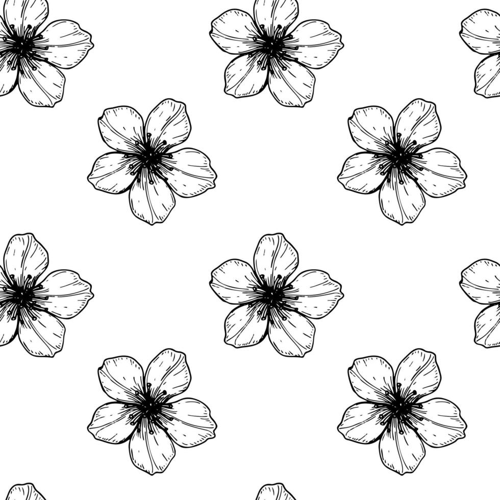 motif floral sans couture avec des fleurs de cerisier printanières dessinées à la main. illustration vectorielle dans le style de croquis isolé sur blanc. vecteur