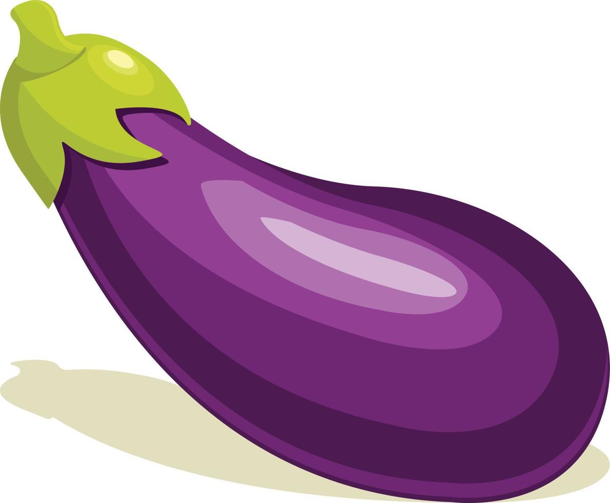 illustration de légume aubergine vecteur