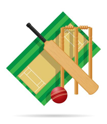 aire de jeux pour illustration vectorielle de cricket vecteur
