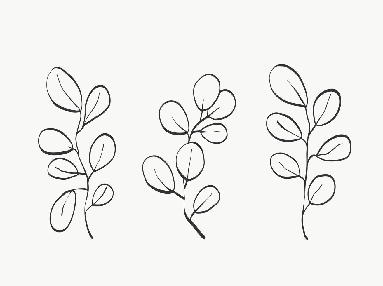 dessin au trait de feuilles botaniques. ligne de plantes abstraites modernes ou minimales. parfait pour la décoration intérieure comme les affiches. conception d'illustrations vectorielles vecteur