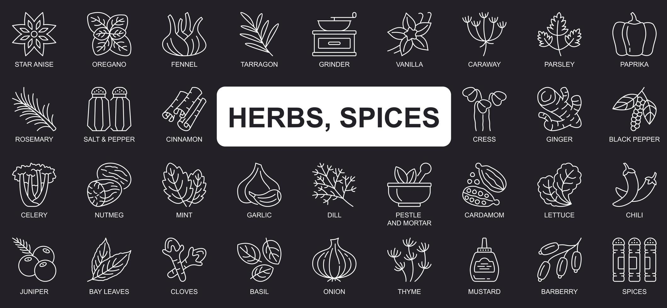 herbes, épices concept simple ligne icônes définies. bouquet d'anis étoilé, origan, vanille, paprika, romarin, sel, poivre, cannelle et autres. symboles de contour de pack vectoriel pour la conception de sites Web ou d'applications mobiles