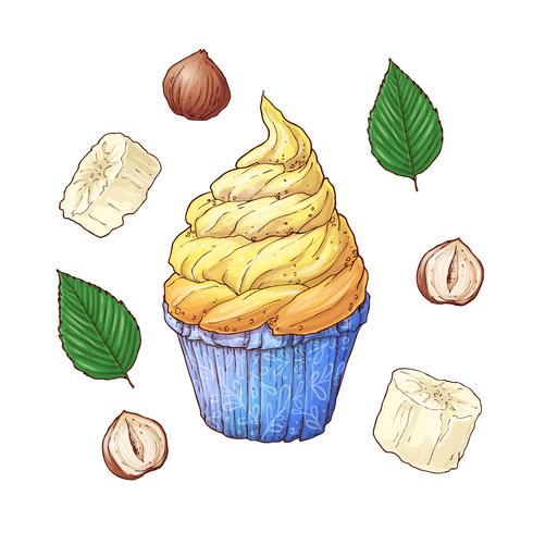 Ensemble de cupcake noix de banane. Dessin à main levée. Illustration vectorielle vecteur