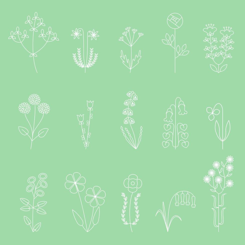 fleur de fleur sur fond vert isolé via illustration botanique et objet floral décoratif dans le dessin au trait vecteur