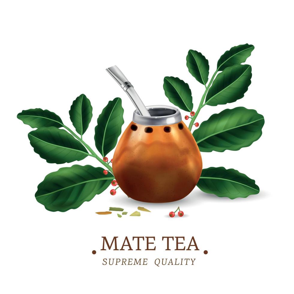 illustration de thé maté vecteur