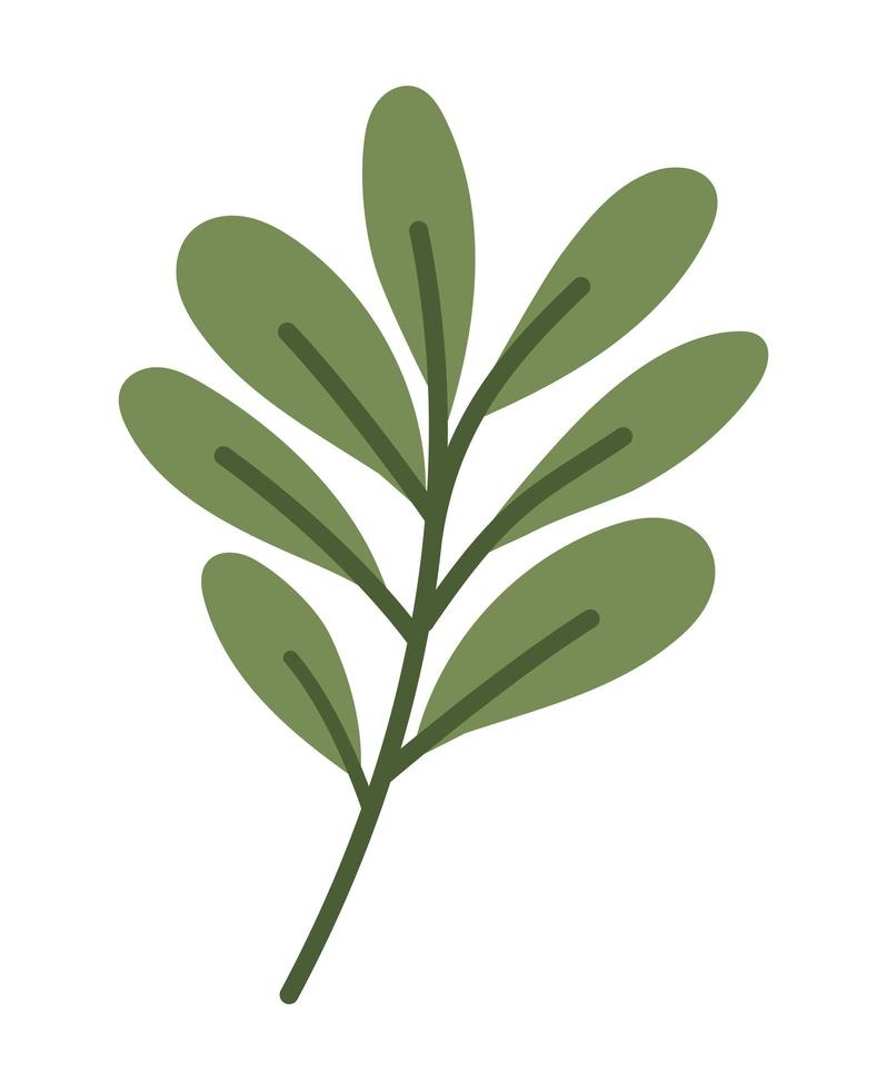 branche de feuilles vertes vecteur