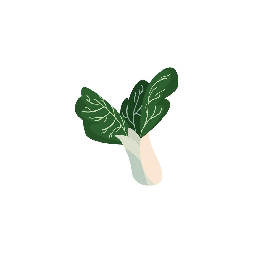 conception de vecteur de légumes pak choi isolé