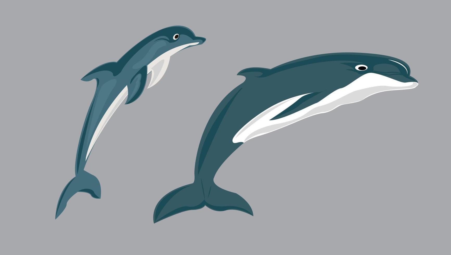 illustration de dauphin dauphin en dessin animé vecteur