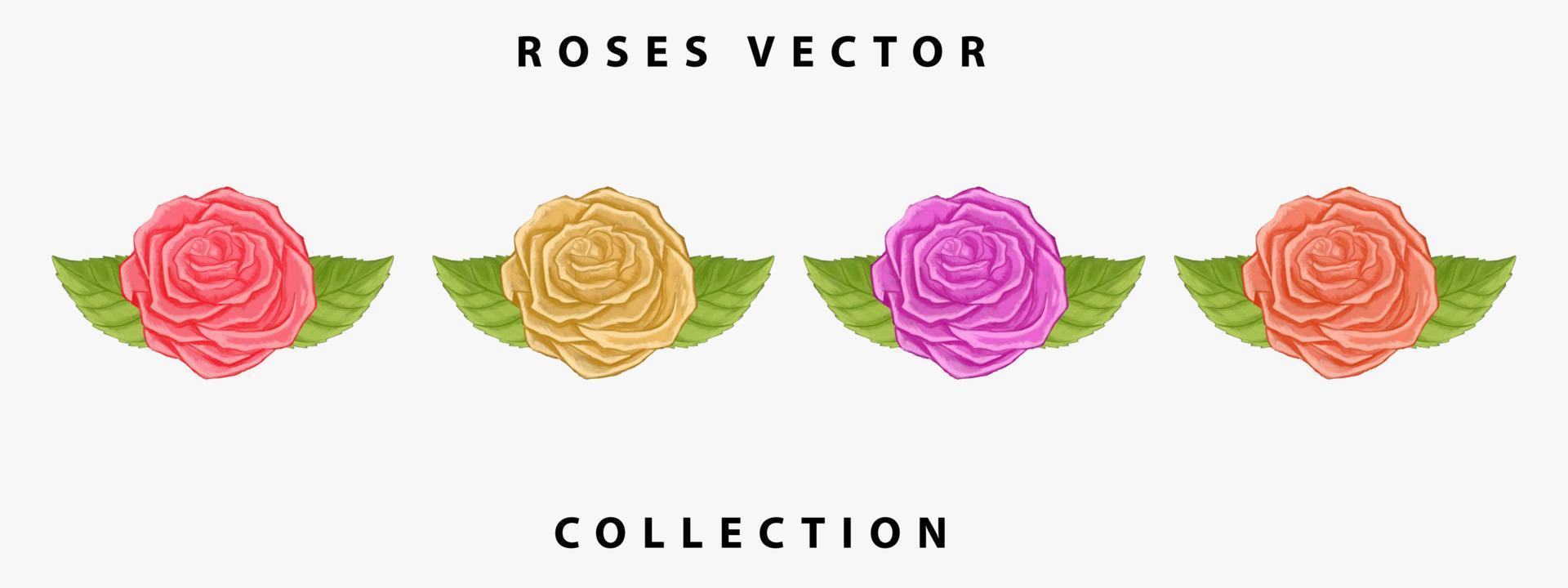 collection de vecteurs de roses. roses aquarelles dessinées à la main. conception de vecteur de roses