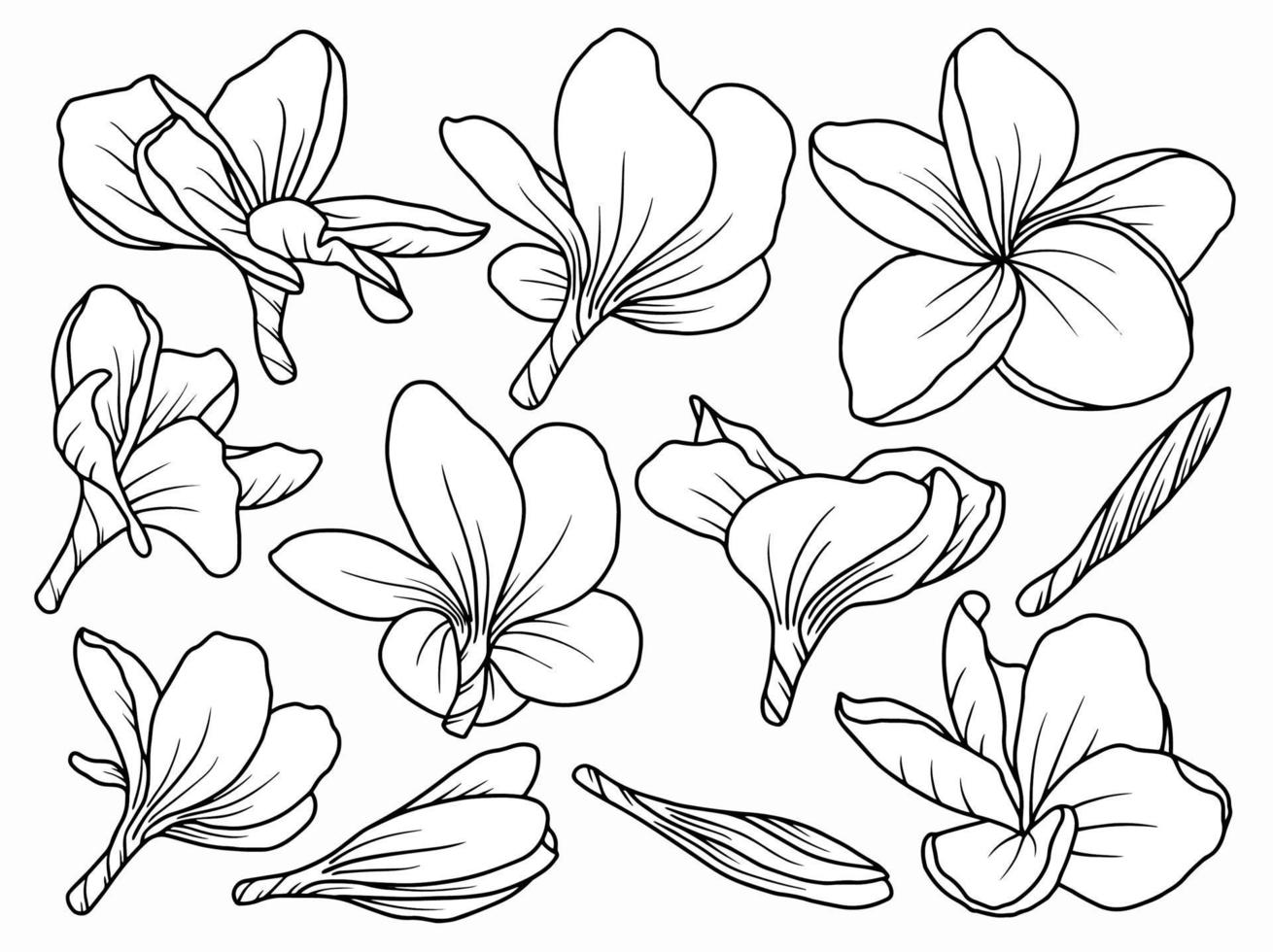 arrangement de dessin au trait de fleurs vecteur
