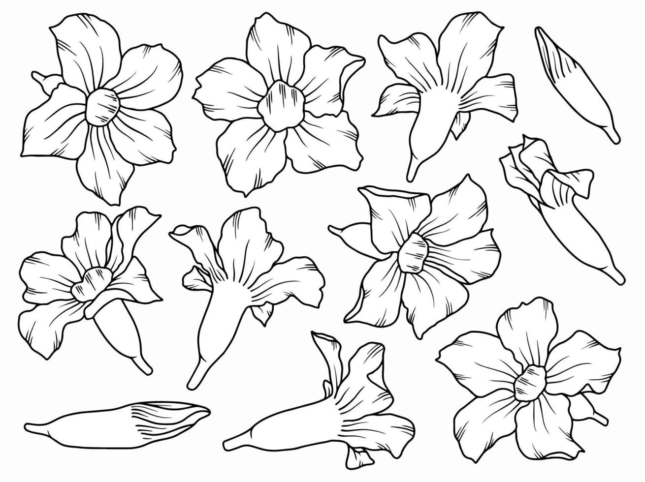 arrangement de dessin au trait de fleurs vecteur