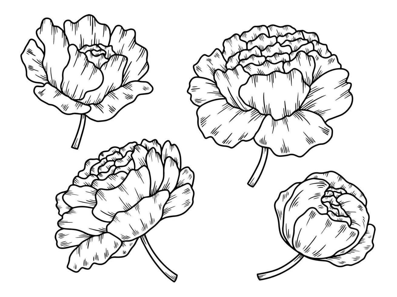 arrangement de dessin au trait de fleurs vecteur