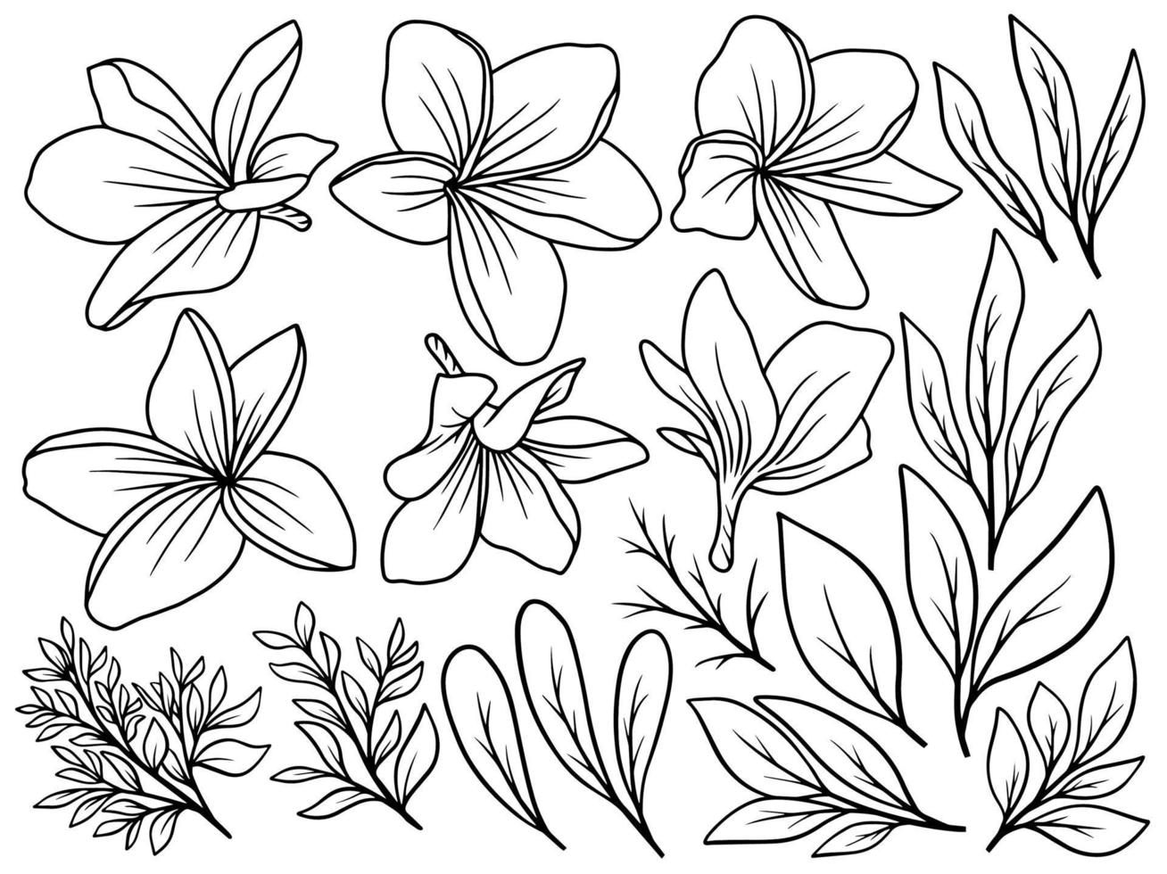 arrangement de dessin au trait de fleurs vecteur