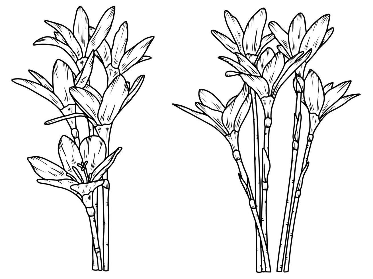 arrangement de dessin au trait de fleurs vecteur