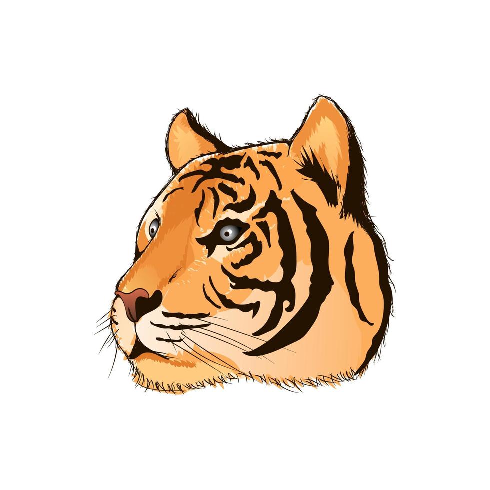 illustration de tigre aquarelle dessinés à la main vecteur