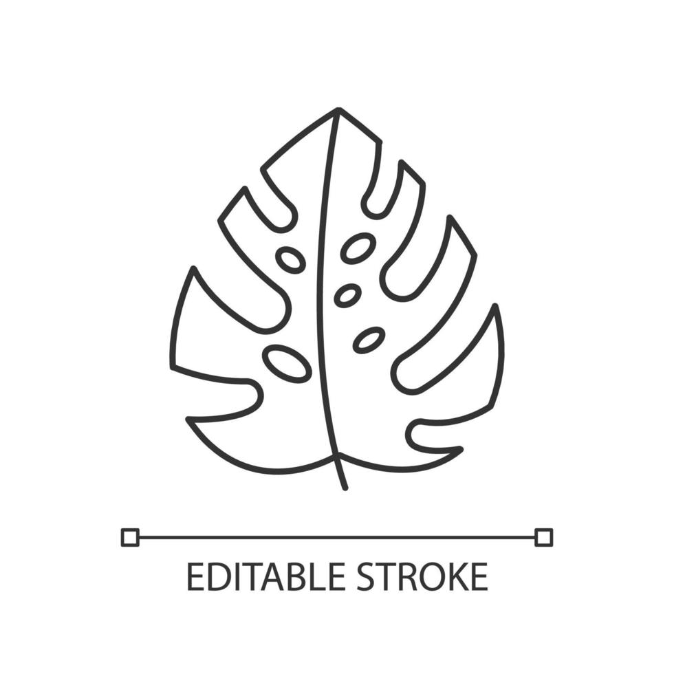 icône linéaire de feuille de monstera. vignes de forêt tropicale à feuilles persistantes. usine de fromage suisse. nature des îles indonésiennes. illustration de la ligne mince. symbole de contour. dessin de contour isolé de vecteur. trait modifiable vecteur