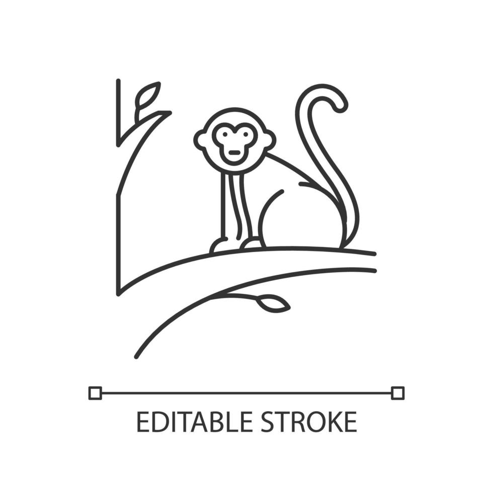 singe sur l'icône de lumière linéaire d'arbre. animal de pays tropical. la faune des îles indonésiennes. primate assis. illustration de la ligne mince. symbole de contour. dessin de contour isolé de vecteur. trait modifiable vecteur