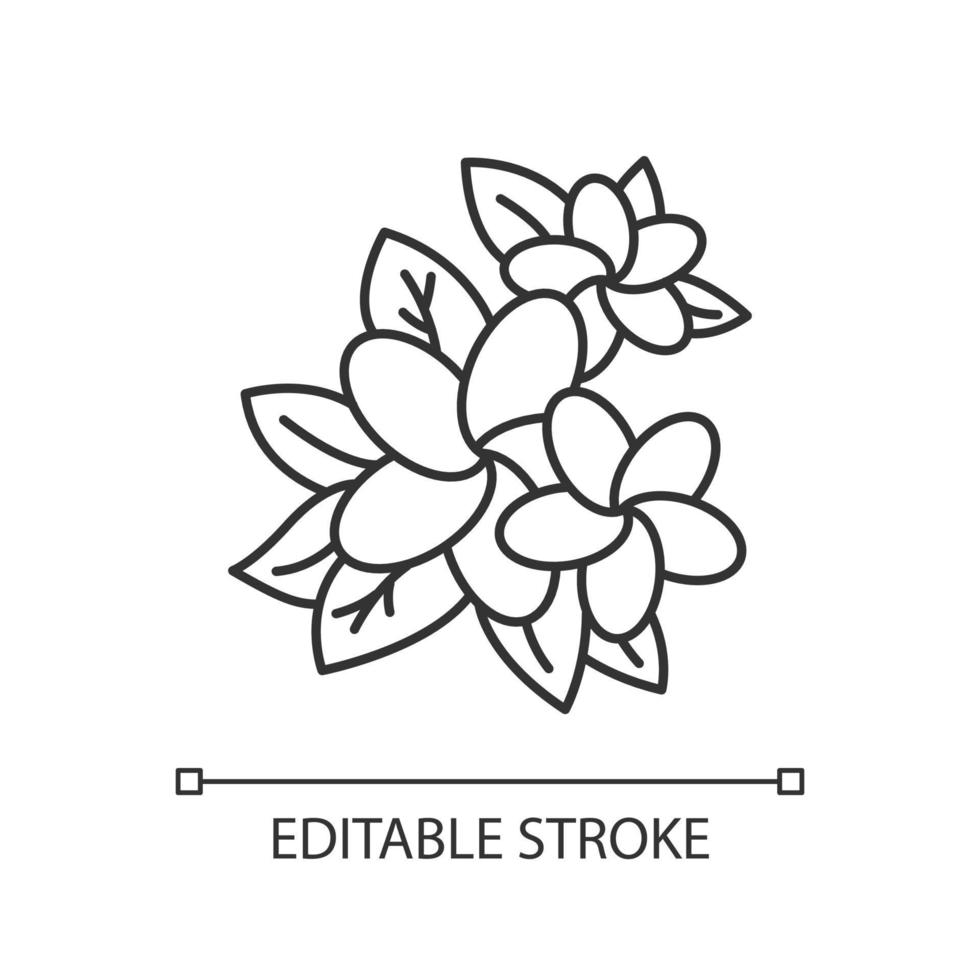 icône de lumière linéaire de plumeria. fleur exotique. nature des jungles indonésiennes. plante tropicale. fleur de frangipanier. illustration de la ligne mince. symbole de contour. dessin de contour isolé de vecteur. trait modifiable vecteur