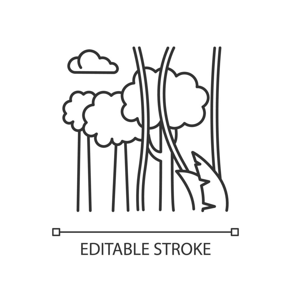 icône de lumière linéaire de plantes de forêt tropicale. arbres à feuilles persistantes, vignes. usine de fromage suisse et lianes. forêt indonésienne. illustration de la ligne mince. symbole de contour. dessin de contour isolé de vecteur. trait modifiable vecteur