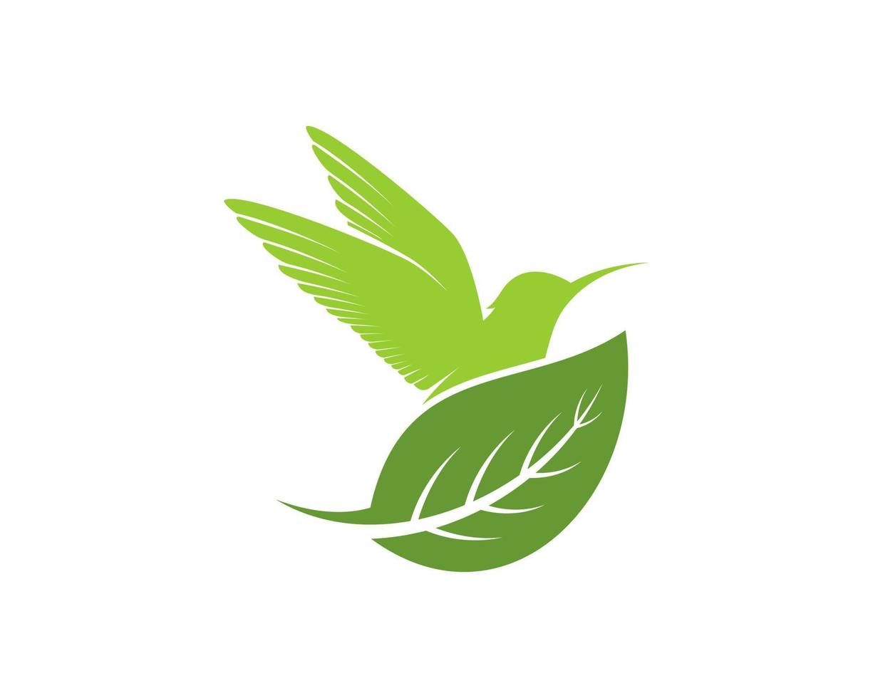 oiseau volant vert avec feuille de nature vecteur