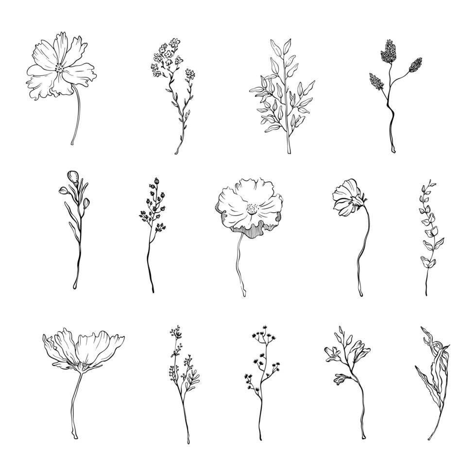 vecteur floral noir branches et fleurs. feuilles florales branches et fleurs dans un style doodle pour une conception de carte minimaliste