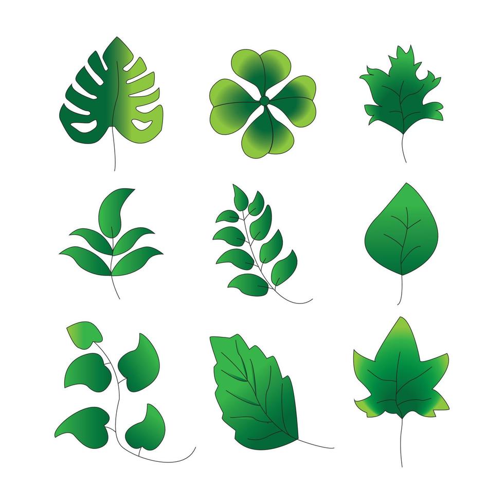 ensemble de packs d'icônes de feuilles vertes dégradées vecteur