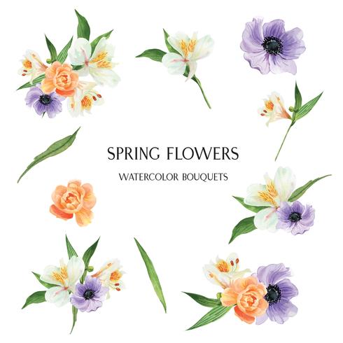 Coquelicot, Lily, pivoines fleurs bouquets vecteur floral isolé illustration aquarelle