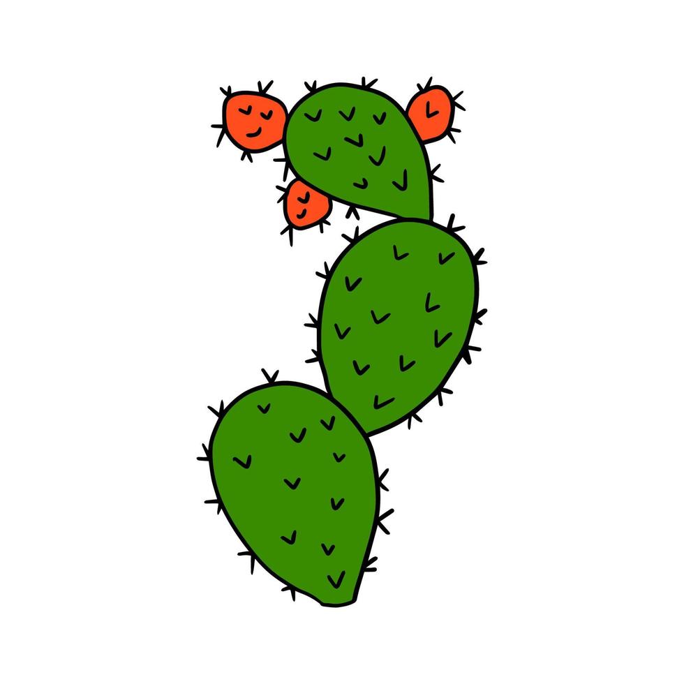 dessin animé doodle cactus isolé sur fond blanc. élément floral de dessin animé mignon. vecteur