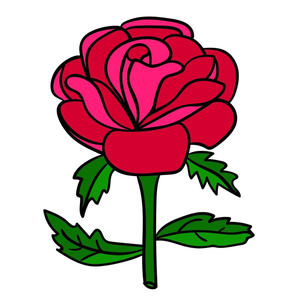 dessin animé doodle rose linéaire, fleur isolé sur fond blanc vecteur