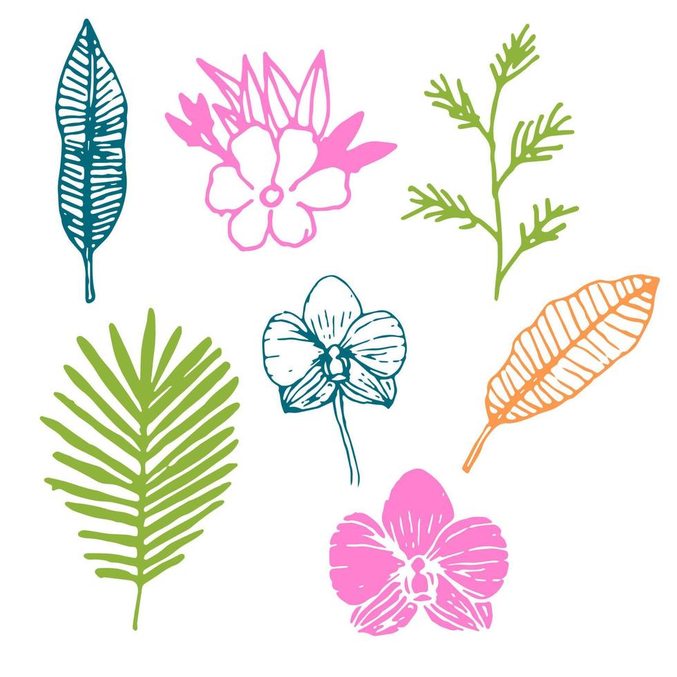 ensemble d'éléments floraux mignons dessinés à la main avec des branches tropicales, fleur d'orchidée, feuilles de palmier isolées sur fond blanc. vecteur