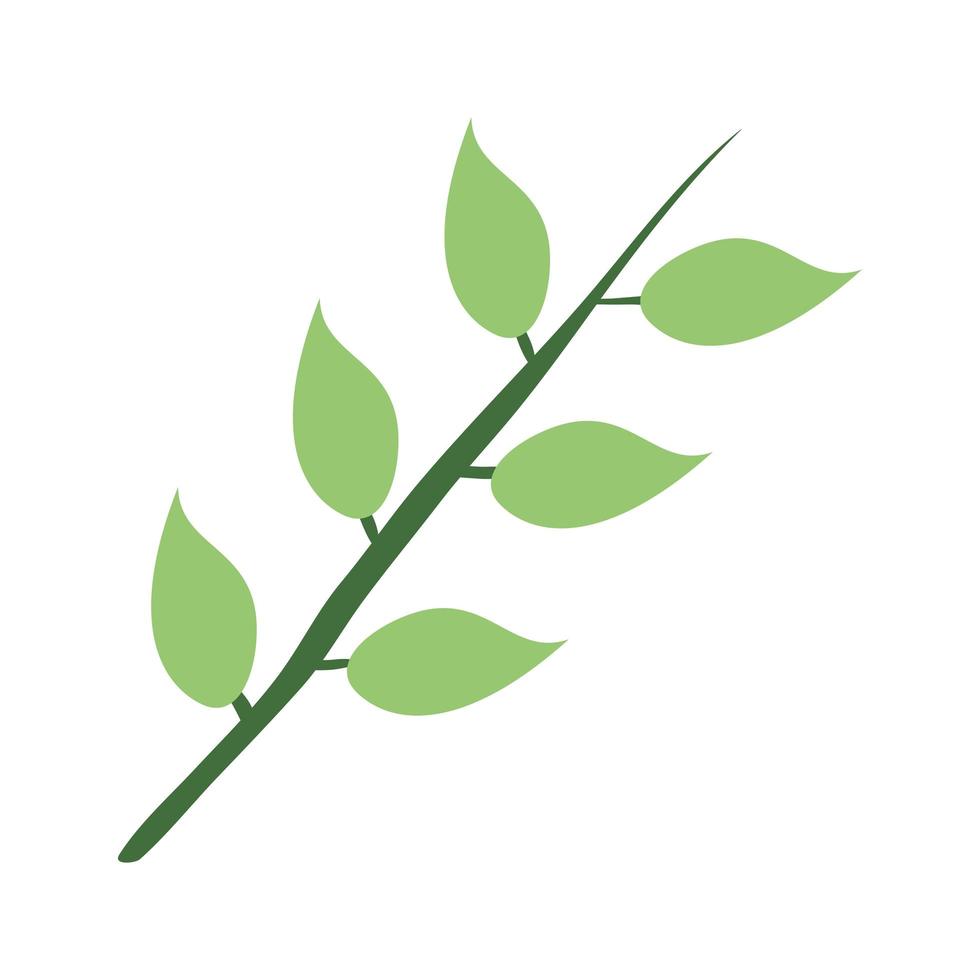 branche avec icône de plante feuilles vecteur