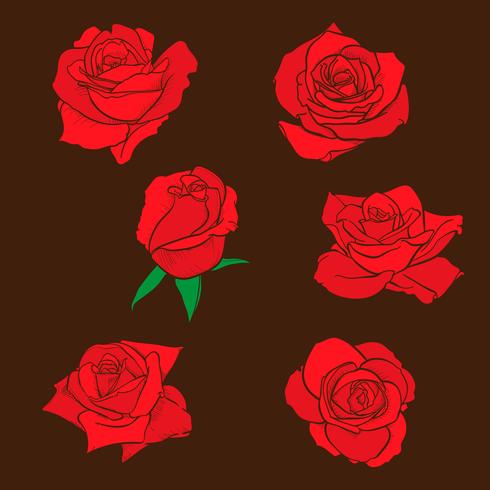Fleurs roses, boutons et feuilles vertes. Collection de Roses Set. icône rose et symbole vecteur