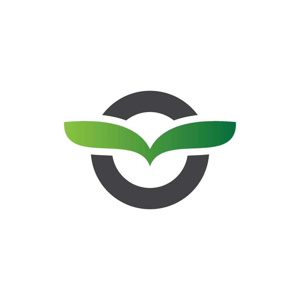 lettre o alphabet naturel vert icônes feuille logo vecteur