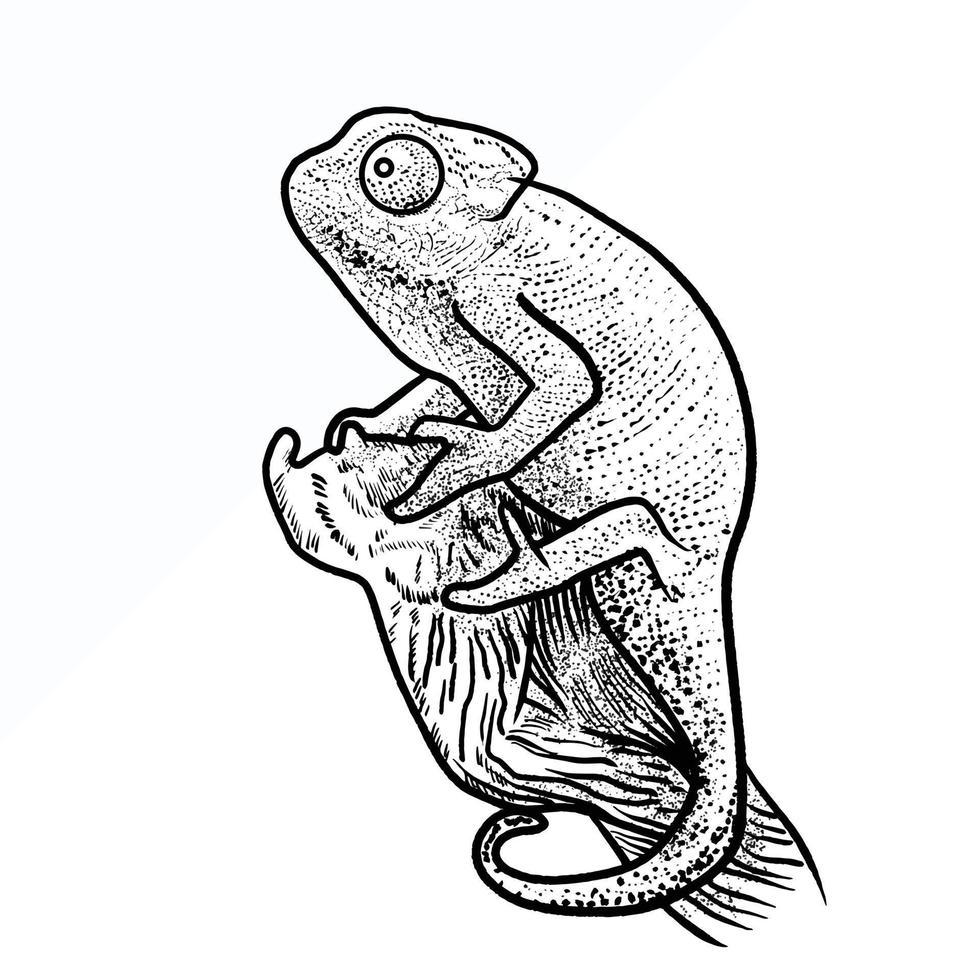 illustration du style d'esquisse caméléon vecteur