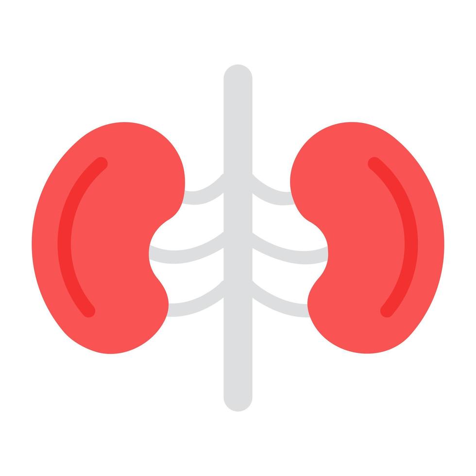 Icône d'organe du système rénal humain au design plat, icône de reins vecteur
