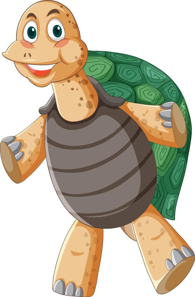 tortue avec un personnage de dessin animé de coquillage vert vecteur