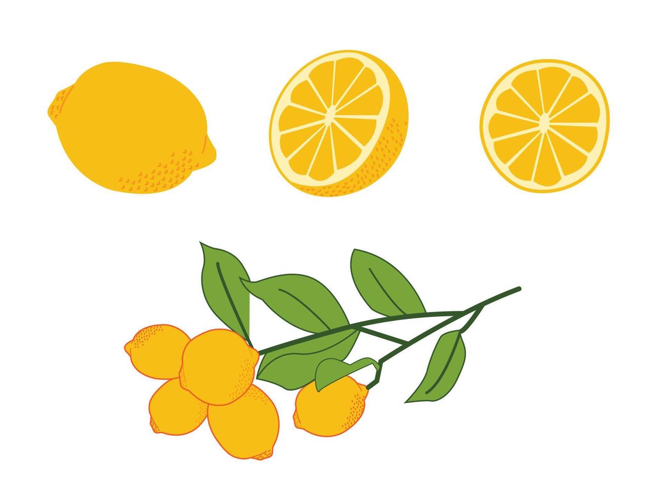 citron quatre variations vecteur