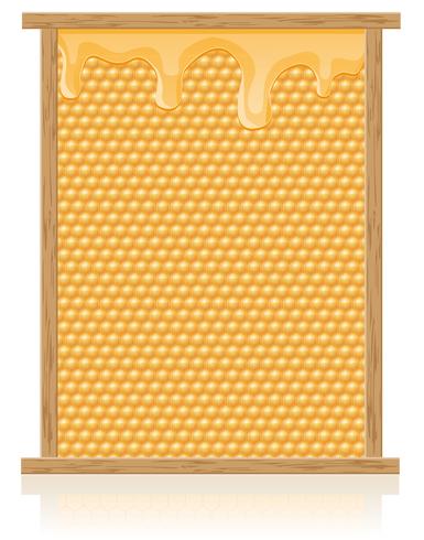 peigne à miel dans l&#39;illustration vectorielle cadre vecteur