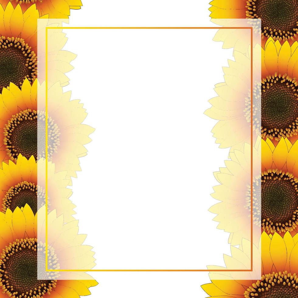 bordure de carte bannière tournesol jaune orange vecteur