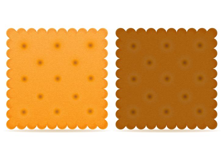 illustration vectorielle biscuit biscuit biscuit vecteur