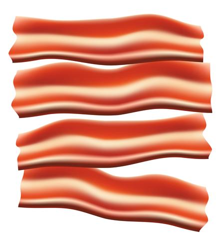 morceaux d&#39;illustration vectorielle de bacon frit vecteur